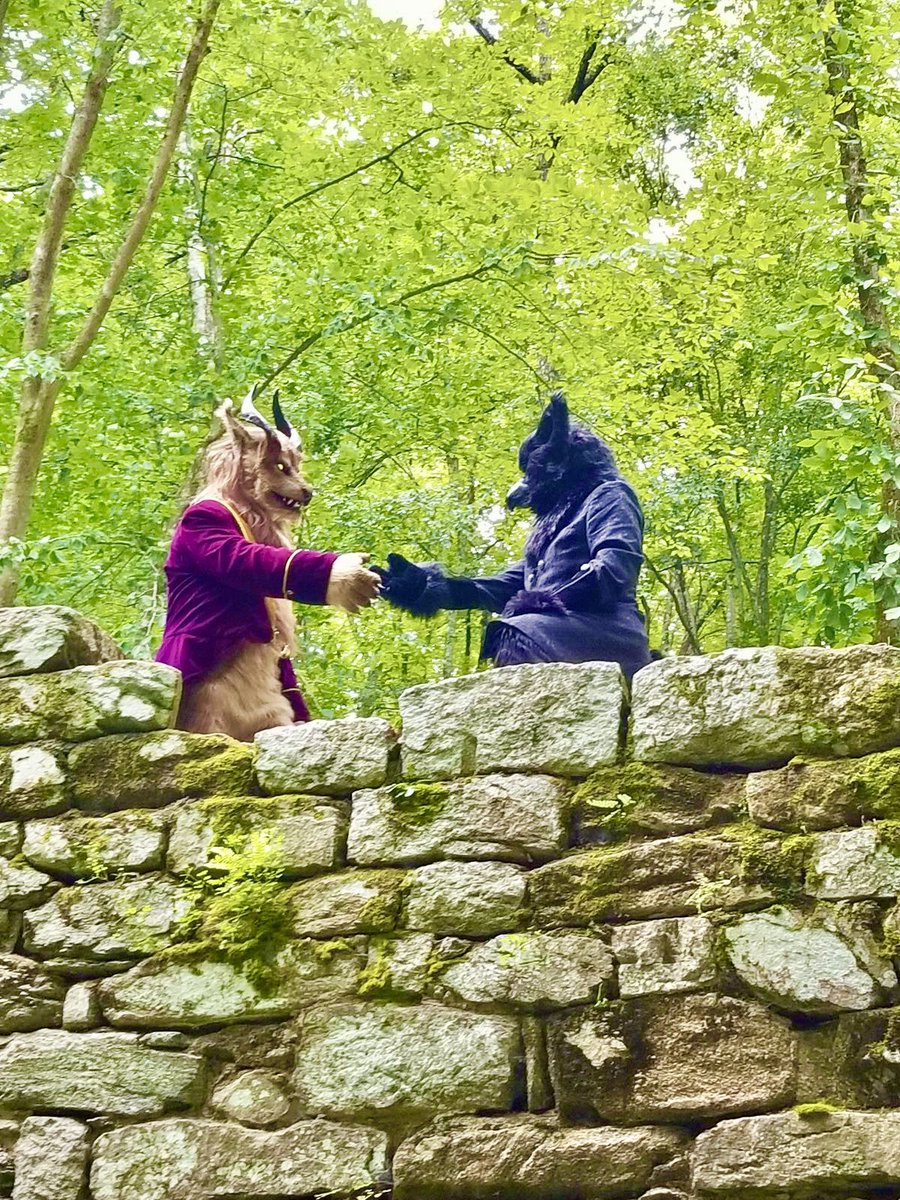 wyooon2's tweet image. Royalty unseen by mortal eyes, convening where moss and stone keep secrets.
My phone reminds me of this weekend five years ago. @EddieBear58 and vix and myself. And a little BTS tail wag.