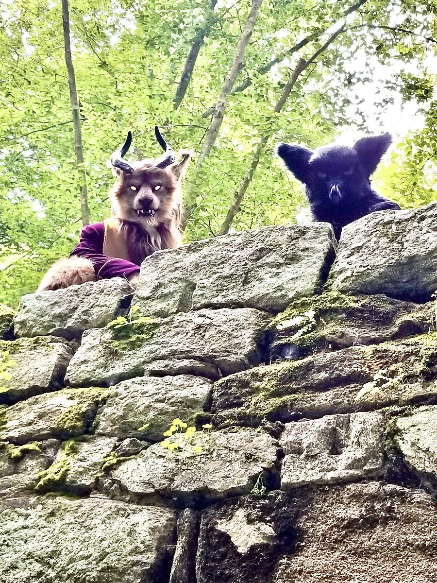 wyooon2's tweet image. Royalty unseen by mortal eyes, convening where moss and stone keep secrets.
My phone reminds me of this weekend five years ago. @EddieBear58 and vix and myself. And a little BTS tail wag.