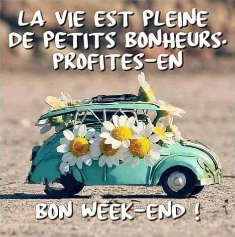 DVanOnacker's tweet photo. Belle journée à vous, à nous, à toi, à moi… 🐞
#citation #BeauDimanche https://t.co/GY8S3sEOxo