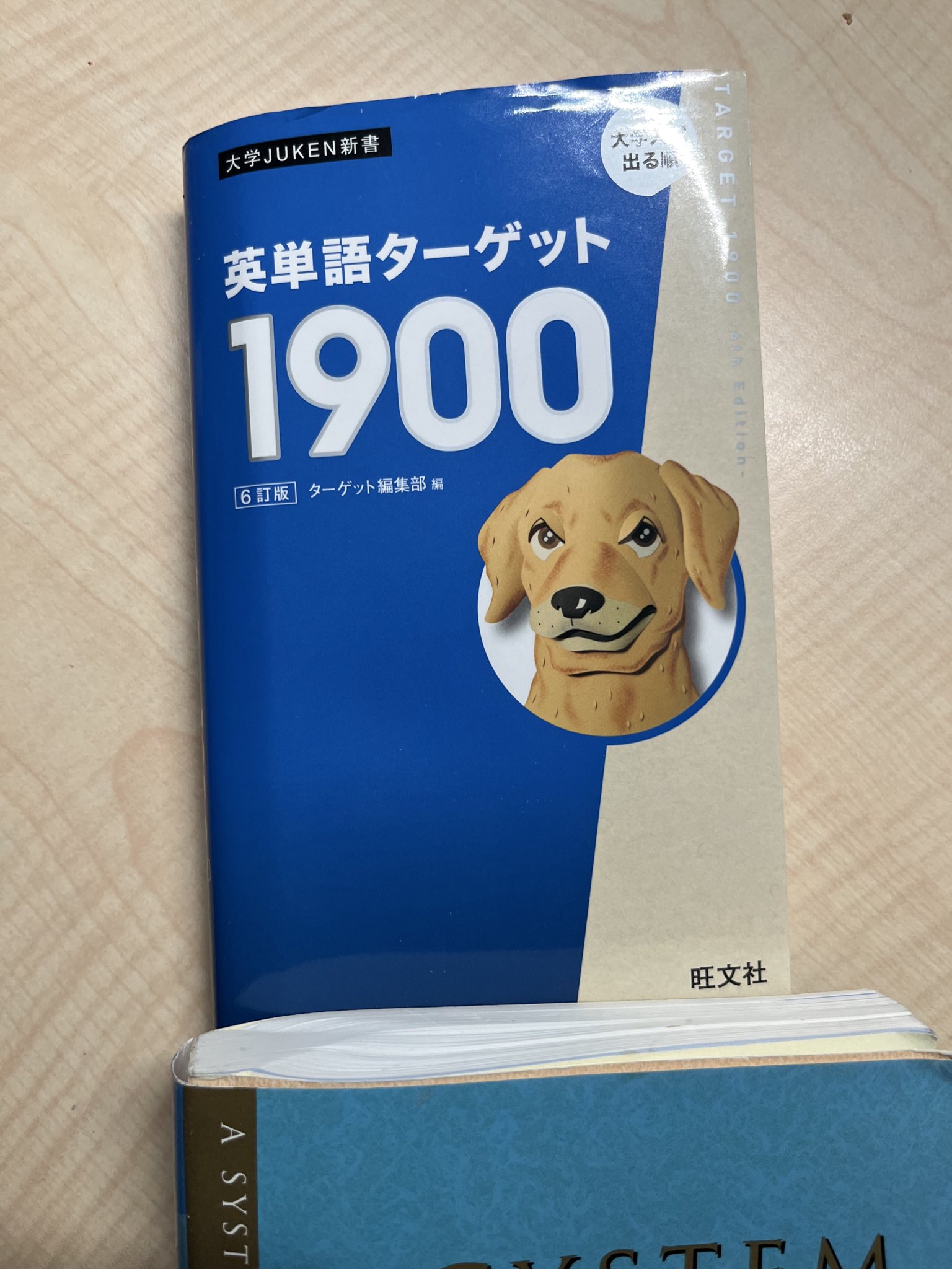 サイババ 写真集 90年代 インド発行 英語版 サイババ 写真集 90年代 インド発行 英語版 洋書