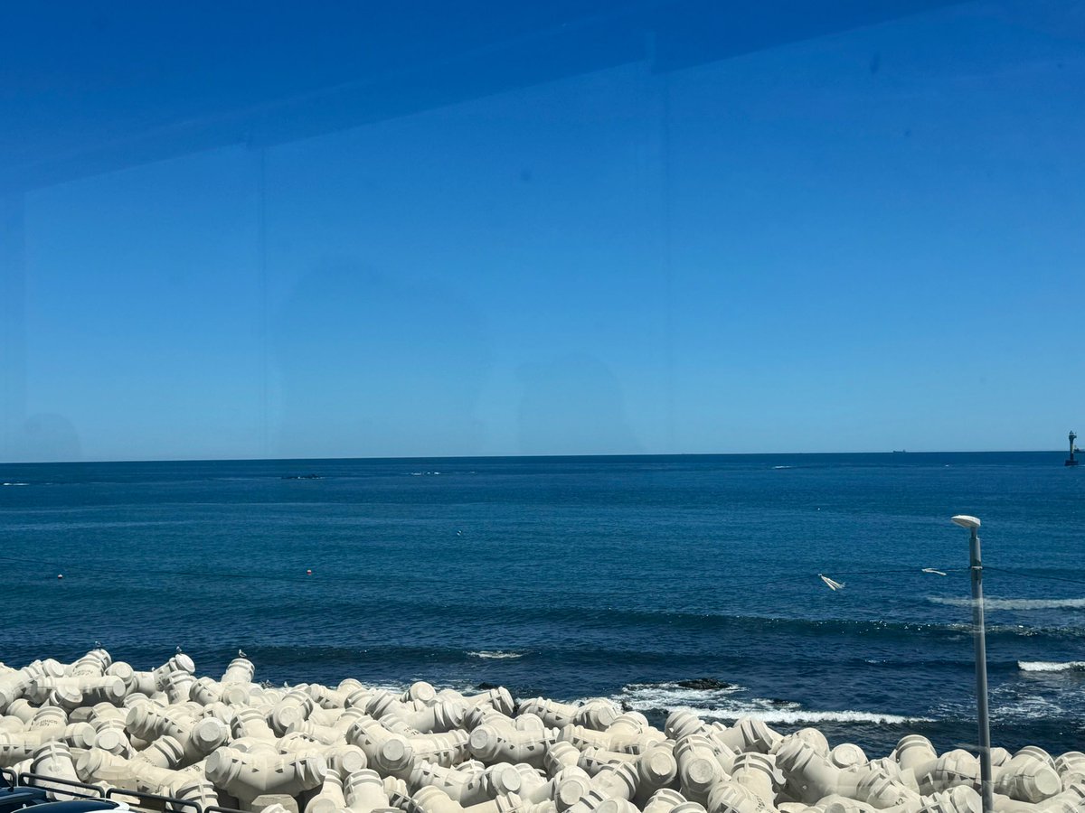 freewill_9's tweet image. 내 사랑 부산, 날씨가 끝내준다 🌊