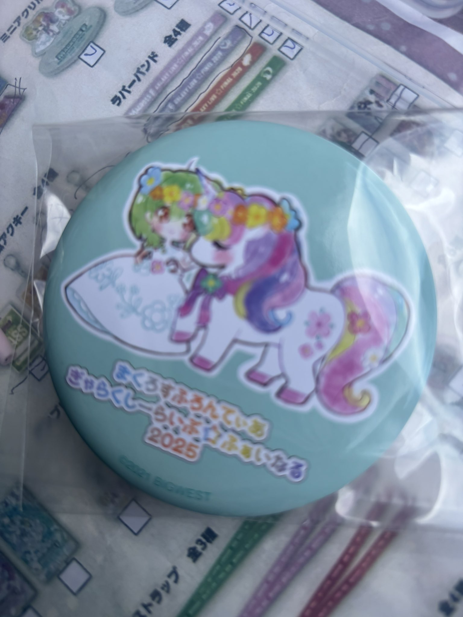 超時空遊園地マクロス⭐︎スタンプラリーの缶バッジ 618ZrolYCFL._UF350,350_QL50_.jpg