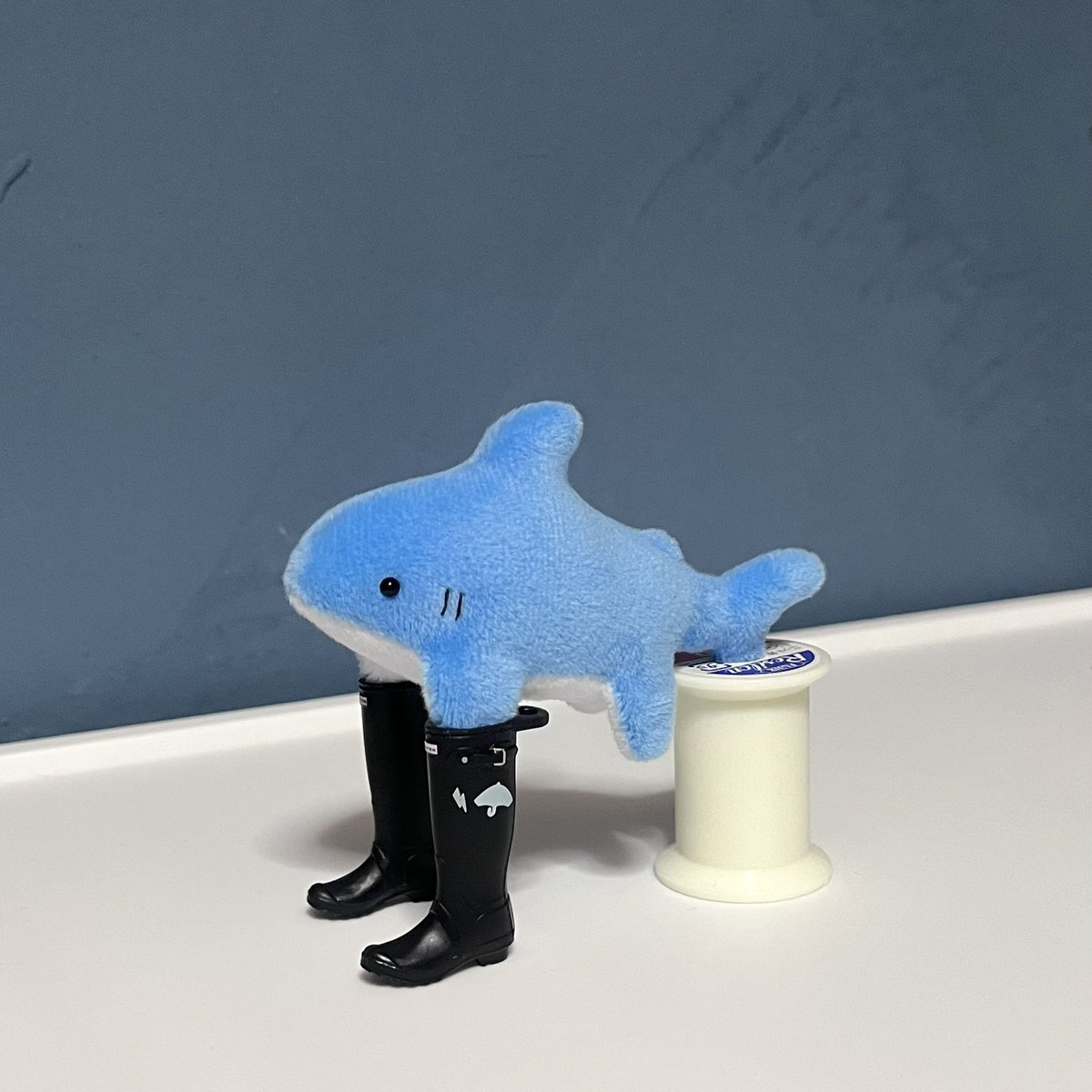 mimmm97's tweet image. たくさんのいいねありがとうございます🙇
感謝の靴を履かされるサメです🙆