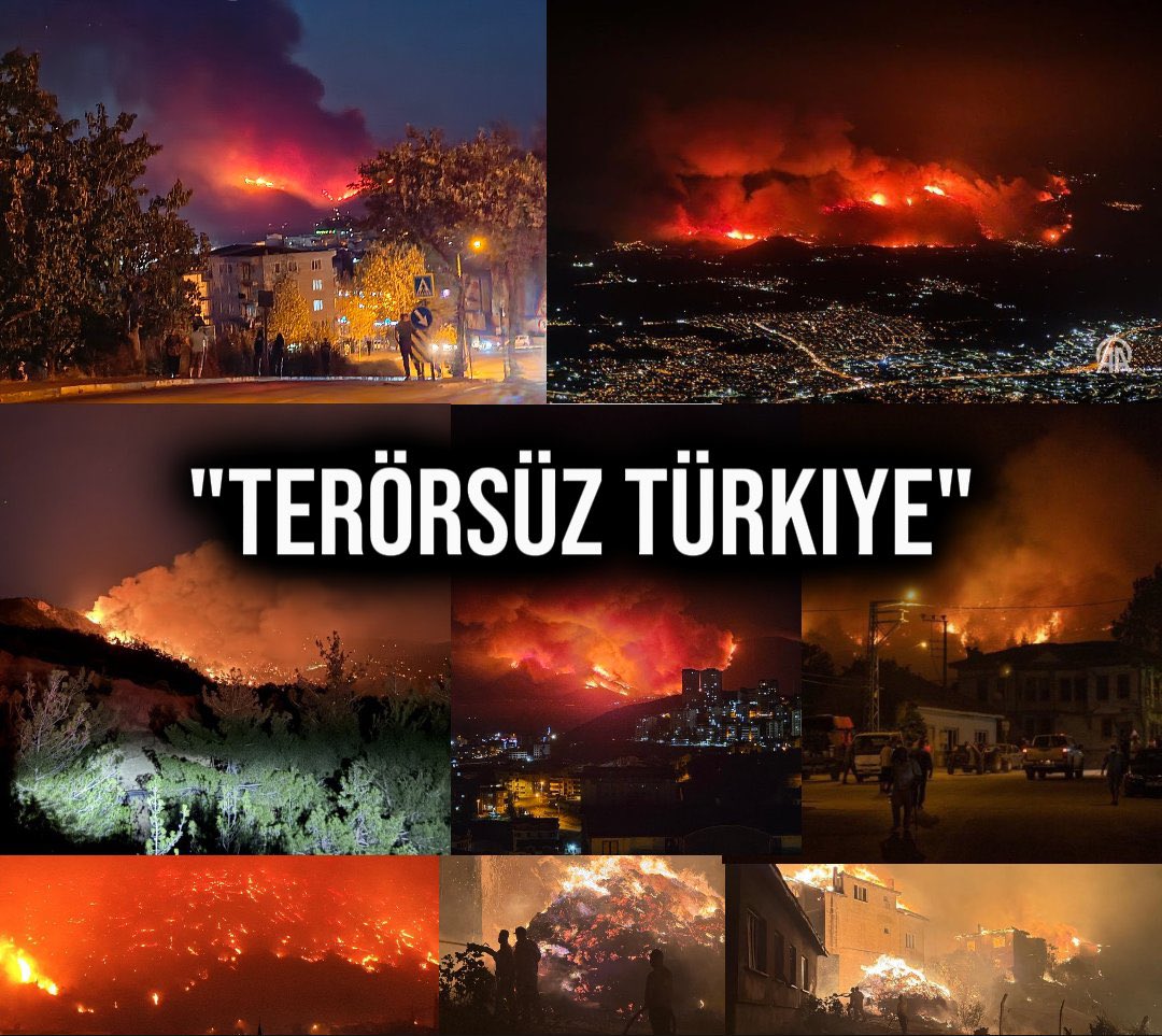 Maviturkk's tweet image. Ormansız Türkiye...