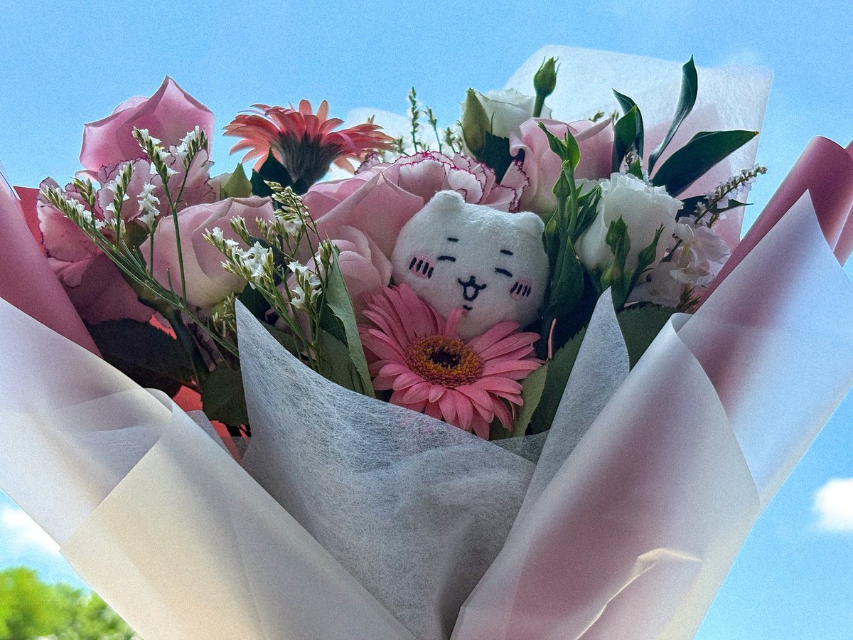 chiikawahing's tweet image. 스윗한 반려인간 같으니, 헹 💐