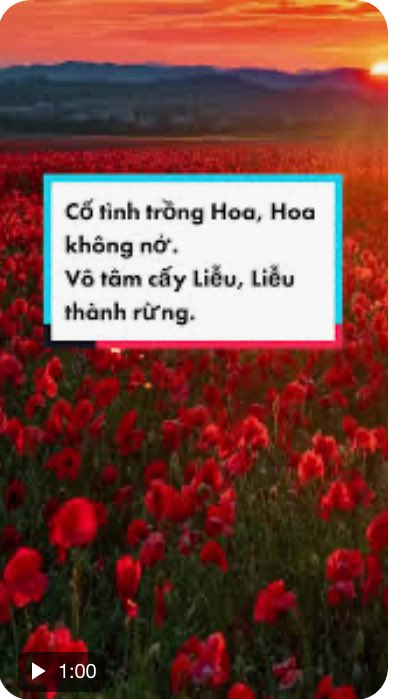 Mời cả nhà đọc bài trong link Xuân đăng lại và tuyym giúp Xuân nha, kkk. Câu trong hình là tình trạng của bài viết Việt Văn bị flop ạ.