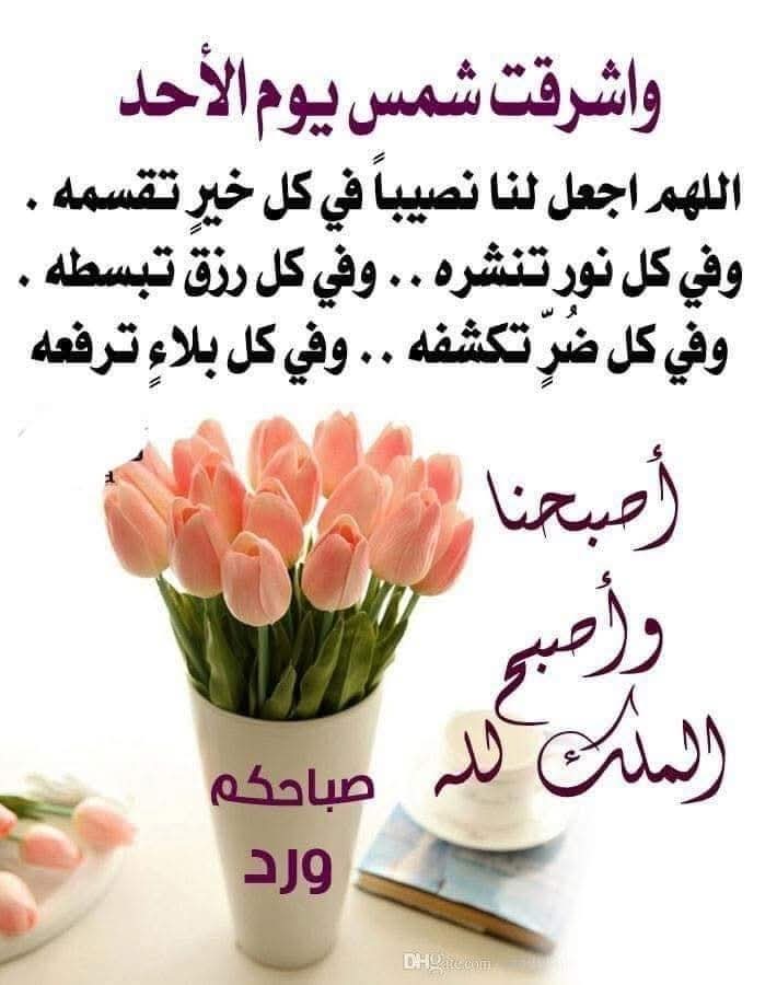 الي كل الاحباب