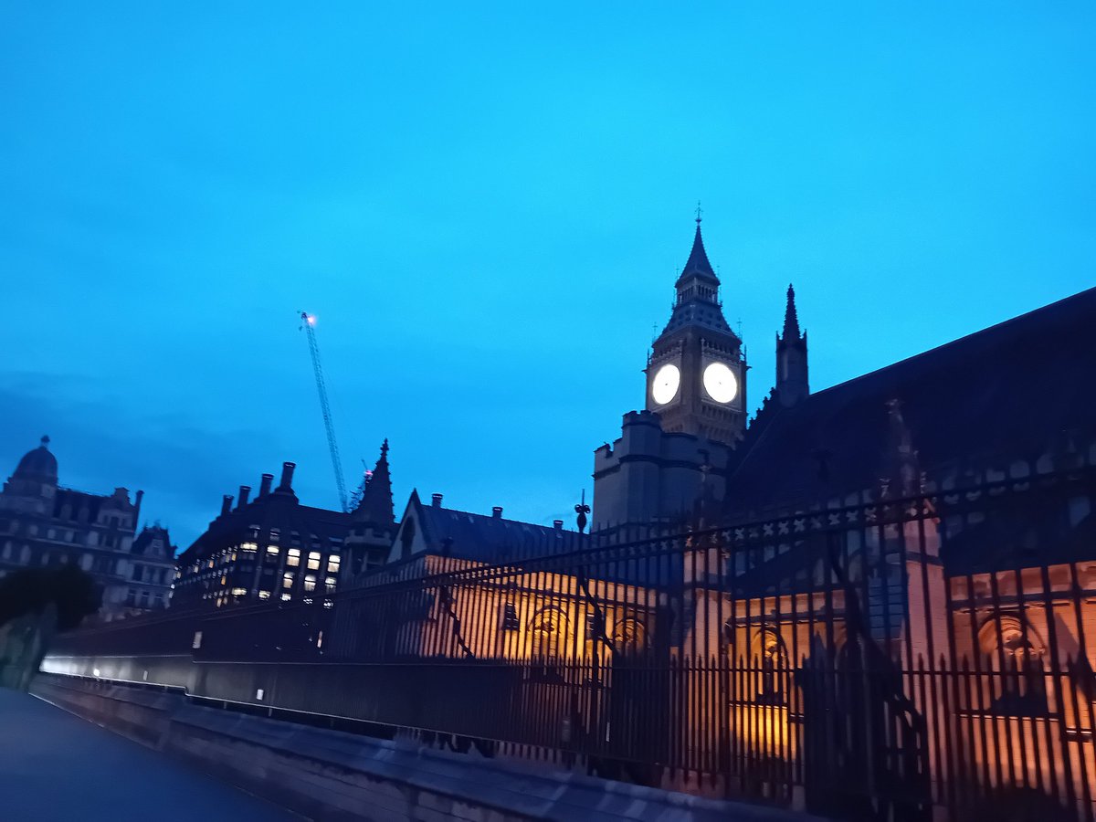 Early start at Parliament again this morning,  Song Thrush worming outside on green, not common here.