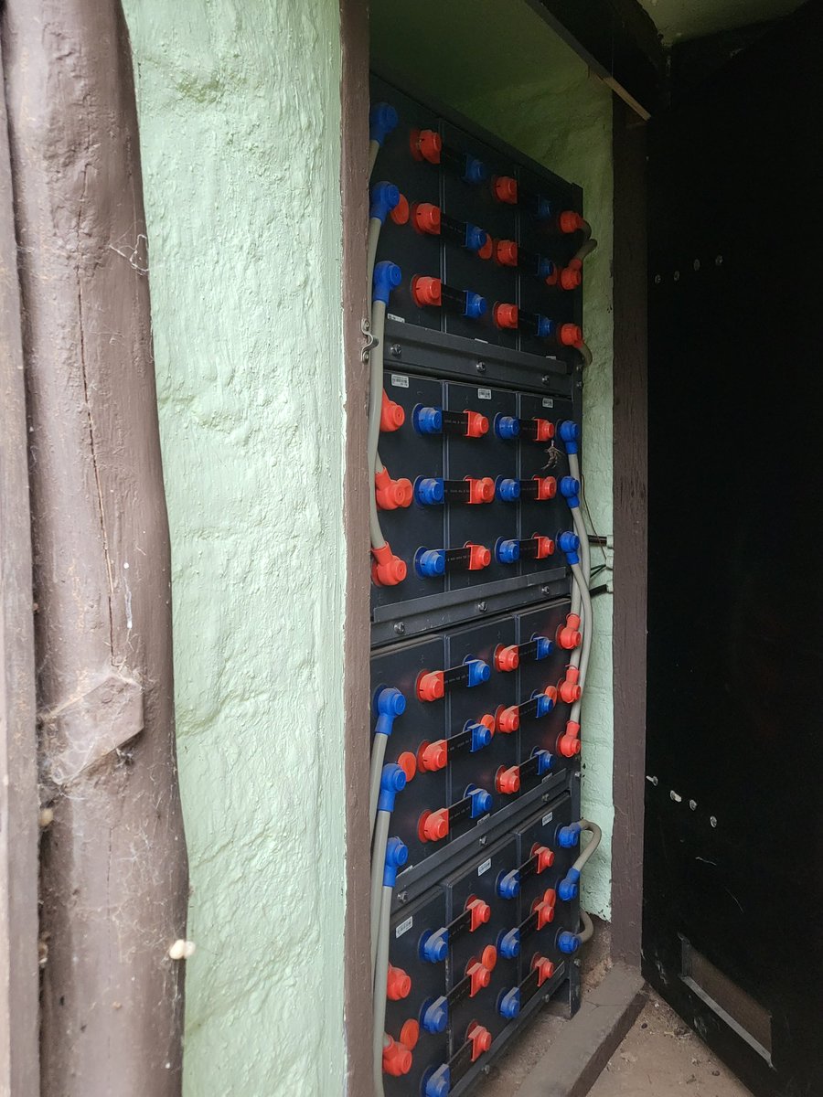 💧shayne gould tweet media