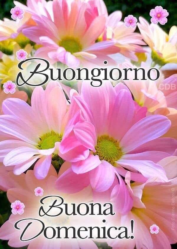 <a href="/Laura_Mlb7/">Laura MB7</a>