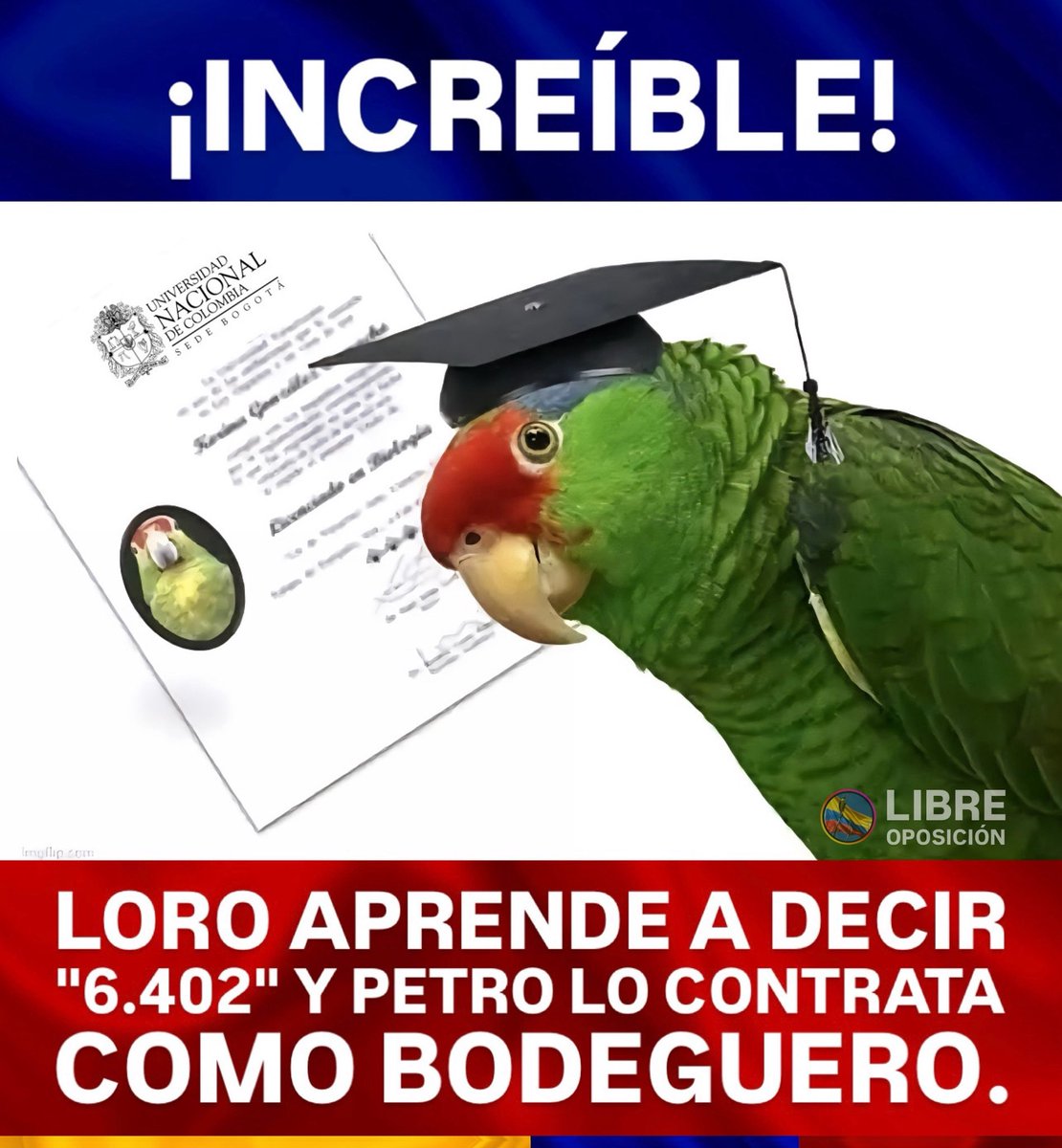 Libre_Oposicion's tweet image. ¡INCREÍBLE! Un loro, aprendí a decir 6402, y Gustavo Petro, lo contrata como bodeguero del pacto histórico.
#FueraPetro