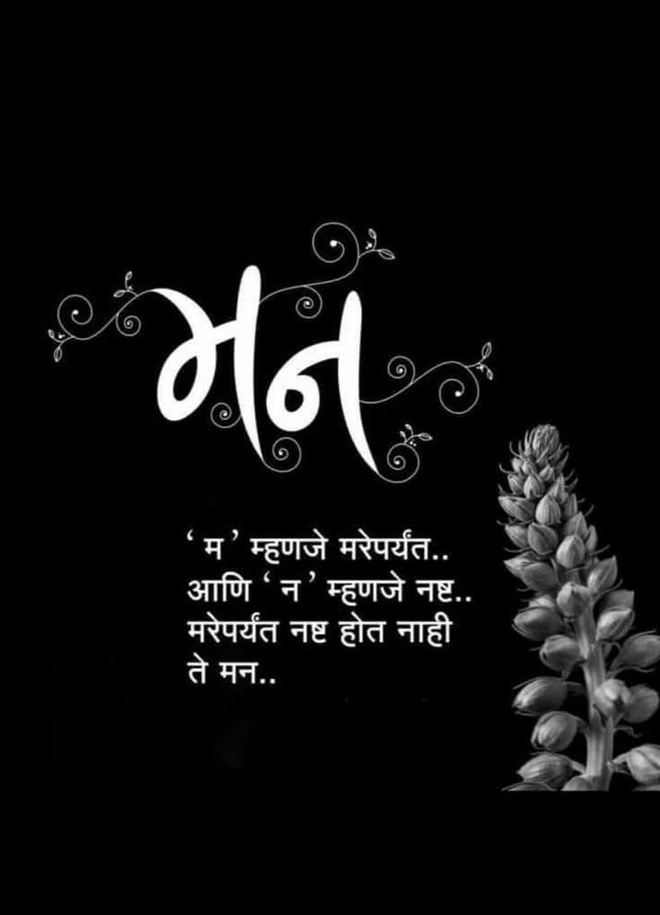 avinashpkn's tweet image. 