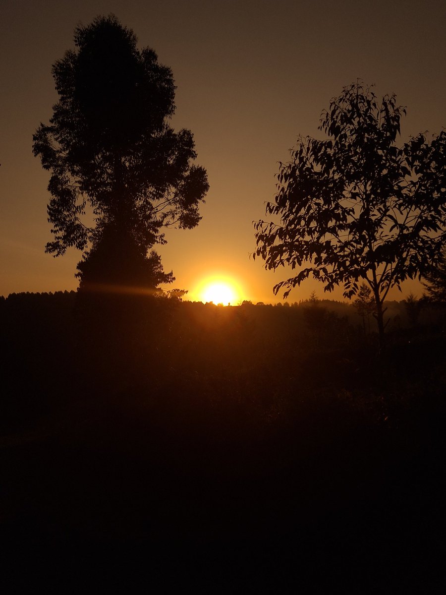 giddy_terer's tweet image. Gm🌅