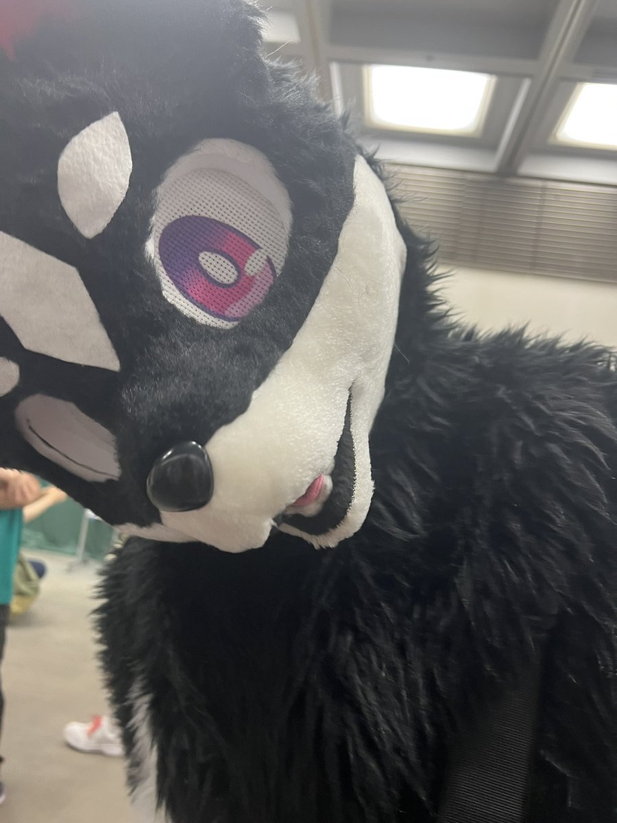 #みけこん2025なつ