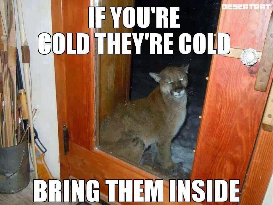 bigmanturkish's tweet image. When I&apos;m outside #ItGivesMeFever