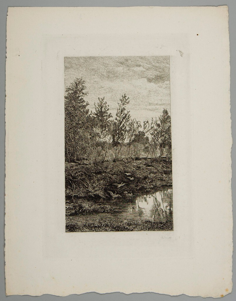 KarlBodmer's tweet image. Forest Pool with Ducks harvardartmuseums.org/collections/ob…