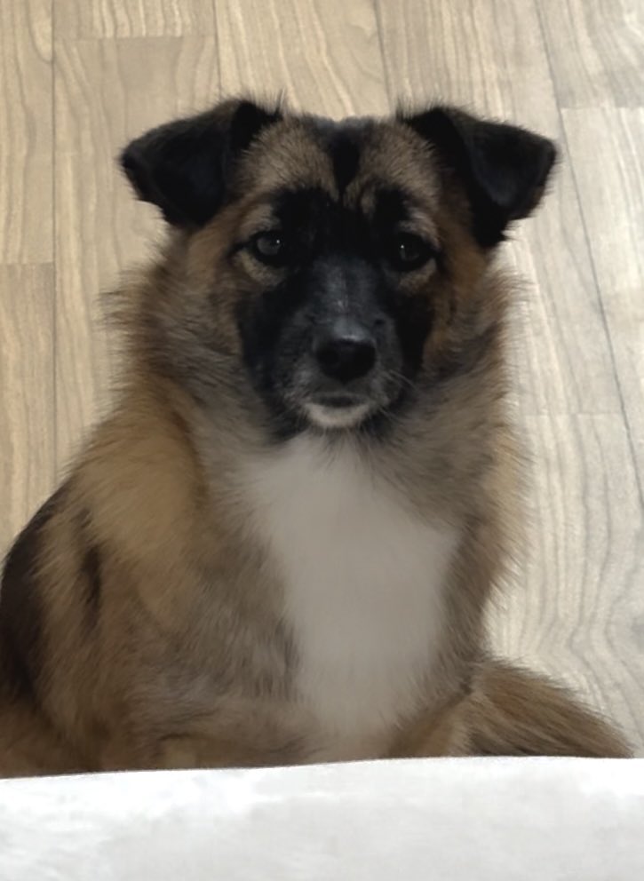 앙사탄캔디 tweet media