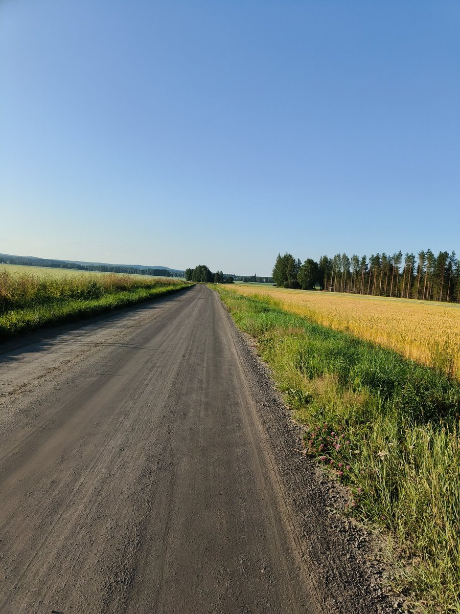 Aika rauhassa saa ajaa kun lähtee 6.30 liikkeelle. Lämpötila sopiva +20, mutta ilmankosteus tekee hikoilemisesta hankalaa.

Maaseututyypillisesti tähän aikaan sunnuntaina  kaikki vastaantulijat morjestavat ja toivotellaan toisillemme huomenet😍

#pyöräily #pälkäne #gravel