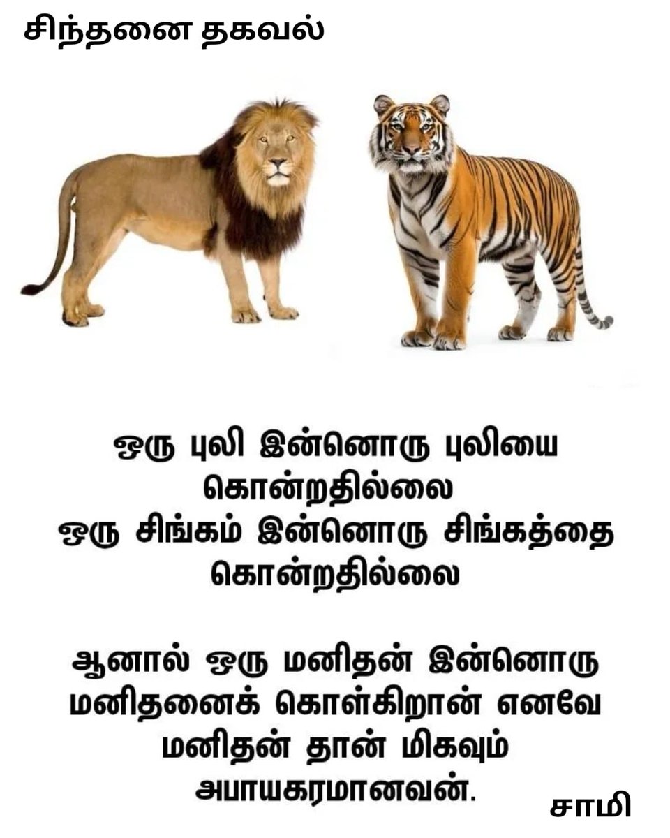 #தமிழ்நாடு Stalin is more Dangerous than Kalaignar (@pugal0405gmail4) on Twitter photo <a href="/MithraaCatering/">Ramanathan V 🖤❤</a> <a href="/MAbdullah14372/">Mohammed Abdullah</a> <a href="/Vishwa370Kumar/">Viswanathan Kumar #DravidianModel 🖤❤️</a> <a href="/P_I_Swathi/">🔥🌞பா.இ.சுவாதி🌞🔥</a> <a href="/Murugan55253925/">Murugan Murugan</a> <a href="/Lakshma07776875/">Lakshmanan</a> <a href="/RKamala74265811/">🖤 kamal ❤️ தேவை இல்லாத பேச்சு உன் மரியாதை போச்சு</a> <a href="/cankikalin41882/">திருச்சி ஜின்னா 🖤❤️</a> <a href="/alagar_raghavan/">Raghavan Alagar</a> <a href="/Neelavannan_VV/">நயனிகா</a> <a href="/RmRamu5/">Rm. Ramu</a> <a href="/manimar23055910/">THAMIZH NADU PUDHU AARU</a> <a href="/SMOHAN74515100/">S MOHAN</a> <a href="/subramaniangood/">🌸 𝐑𝐀𝐉𝐀𝐒𝐔𝐁𝐑𝐀𝐌𝐀𝐍𝐈𝐀𝐍 𝐒 🌸</a> <a href="/porkodichellama/">🌻🪷 பொற்கொடியாள்.</a> <a href="/GSELVARAJU3/">செல்வராசு (ꜱᴇʟᴠᴀʀᴀᴊᴜ)</a> <a href="/SelvabaiJ55505/">Selvabai Jeyaraj</a> <a href="/Dhakshina23/">K.Dhakshinamoorthy</a> <a href="/Shree_Rk0803/">ஶ்ரீ தேவி ரஞ்சன் குமார்</a> <a href="/SATHIYA6000096/">SATHIYASEELAN P</a> <a href="/rajendran744/">𝒟.ℛ𝒶𝒿𝑒𝓃𝒹𝓇𝒶𝓃💚🐦❤</a> அன்பு காலை வணக்கம் ராமநாதன் அண்ணா💐💐💐💐 <a href="/MithraaCatering/">Ramanathan V 🖤❤</a> <a href="/MAbdullah14372/">Mohammed Abdullah</a> <a href="/Vishwa370Kumar/">Viswanathan Kumar #DravidianModel 🖤❤️</a> <a href="/P_I_Swathi/">🔥🌞பா.இ.சுவாதி🌞🔥</a> <a href="/Murugan55253925/">Murugan Murugan</a> <a href="/Lakshma07776875/">Lakshmanan</a> <a href="/RKamala74265811/">🖤 kamal ❤️ தேவை இல்லாத பேச்சு உன் மரியாதை போச்சு</a> <a href="/cankikalin41882/">திருச்சி ஜின்னா 🖤❤️</a> <a href="/alagar_raghavan/">Raghavan Alagar</a> <a href="/Neelavannan_VV/">நயனிகா</a> <a href="/RmRamu5/">Rm. Ramu</a> <a href="/manimar23055910/">THAMIZH NADU PUDHU AARU</a> <a href="/SMOHAN74515100/">S MOHAN</a> <a href="/subramaniangood/">🌸 𝐑𝐀𝐉𝐀𝐒𝐔𝐁𝐑𝐀𝐌𝐀𝐍𝐈𝐀𝐍 𝐒 🌸</a> <a href="/porkodichellama/">🌻🪷 பொற்கொடியாள்.</a> <a href="/GSELVARAJU3/">செல்வராசு (ꜱᴇʟᴠᴀʀᴀᴊᴜ)</a> <a href="/SelvabaiJ55505/">Selvabai Jeyaraj</a> <a href="/Dhakshina23/">K.Dhakshinamoorthy</a> <a href="/Shree_Rk0803/">ஶ்ரீ தேவி ரஞ்சன் குமார்</a> <a href="/SATHIYA6000096/">SATHIYASEELAN P</a> <a href="/rajendran744/">𝒟.ℛ𝒶𝒿𝑒𝓃𝒹𝓇𝒶𝓃💚🐦❤</a> அன்பு காலை வணக்கம் ராமநாதன் அண்ணா💐💐💐💐