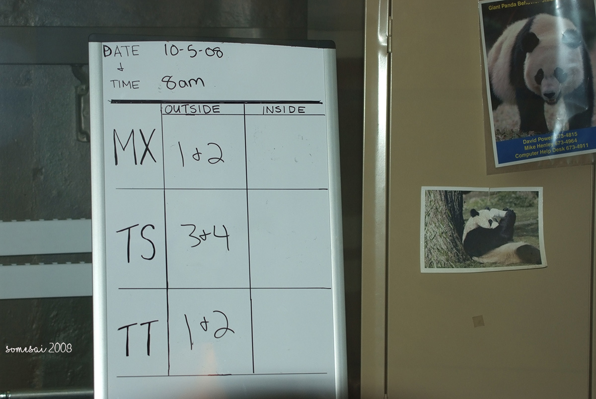 somesay's tweet image. The Royal Schedule (2008)
#pandas #dcpandas #pandastory