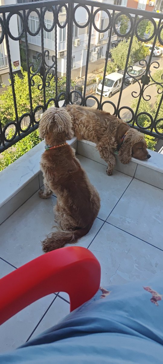 Pazar sabahı enerjimiz tavan yine...