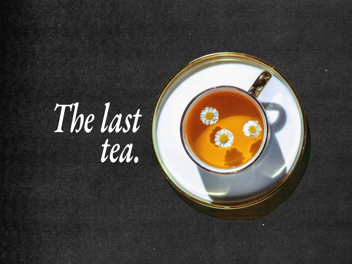 thewiku's tweet image. The evening before the bloom:
One more tea for we face the generational trauma.