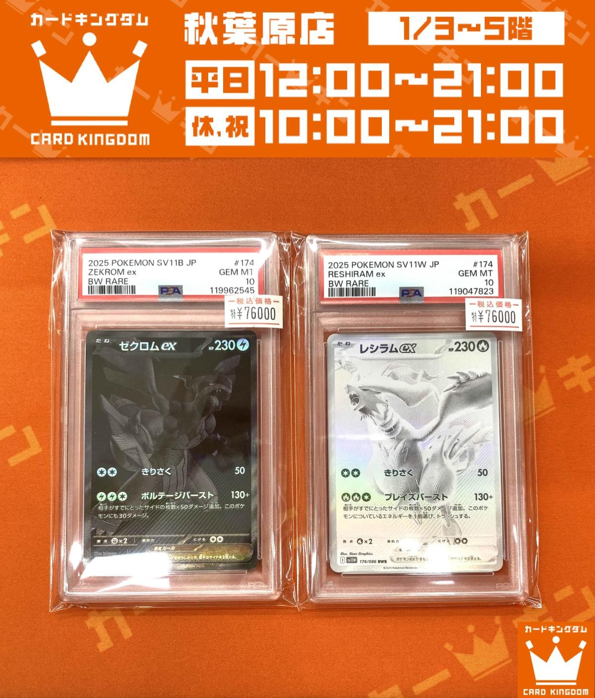カードキングダム秋葉原店 / Card Kingdom Akihabara / カーキン