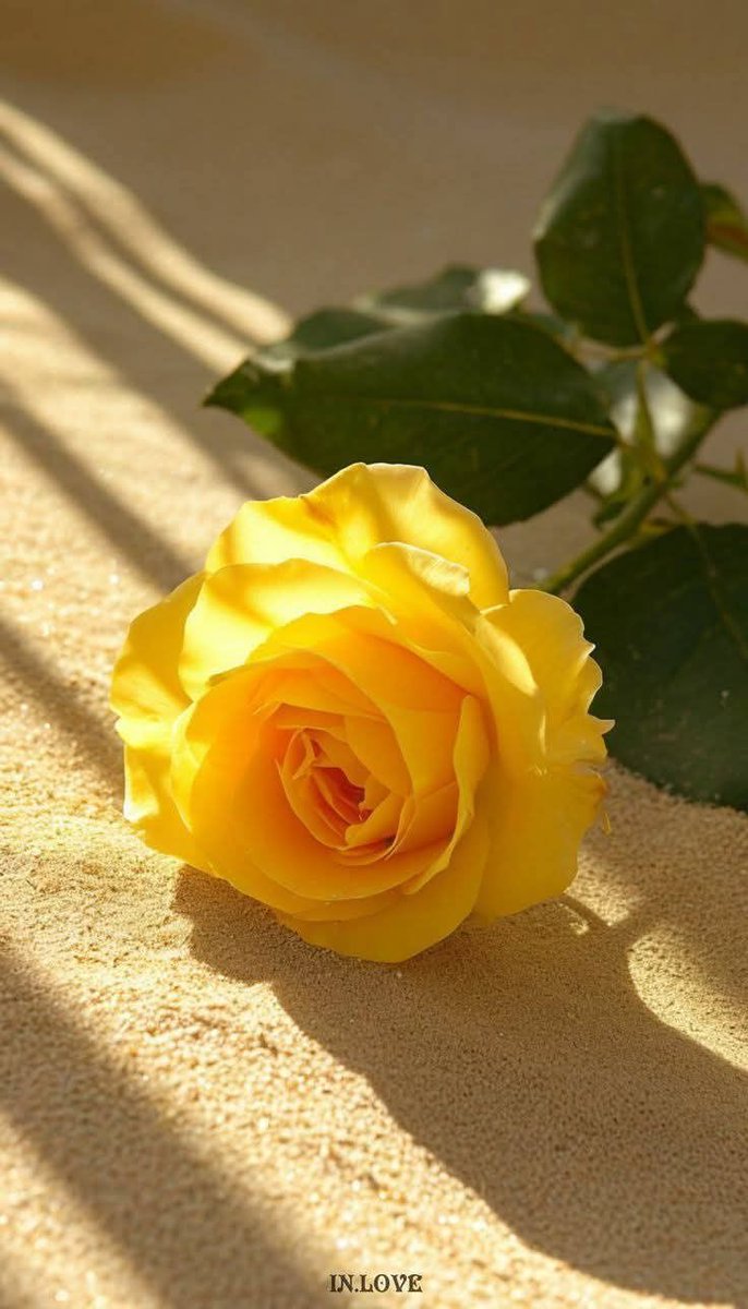 Good morning dear friends 💛
<a href="/sitaravirgo/">$ÎTÂRÂ_$TAR💫🌟</a> <a href="/PatriotAhmed/">S S A</a> <a href="/shahista210/">shahista210❤️✍️❤️🚕</a> <a href="/shahwartaj07/">SHAHWAR 🍃🌺🍃</a> <a href="/julyqueen650/">julyqueen</a> <a href="/fahimabbas81/">Leo 🌟</a> <a href="/I_Lov3_Pakistan/">M. Asif Rana 🇵🇰</a> <a href="/S_Fahim_IQ/">COWBOY🌺S.Fahim Naqvi</a> <a href="/SheraziLHR/">Shahzaib Sherazi</a> <a href="/Javedch77/">Javedchaudhary</a> <a href="/khuram_sahi/">جاگیردار⚘🌷</a> <a href="/mk4057/">M/K Baloch</a>