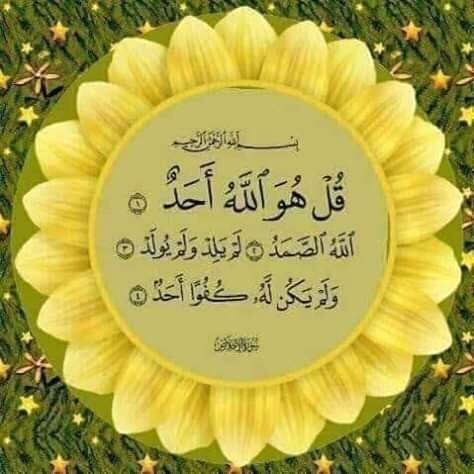 mlk_dhyshan's tweet image. ﷽
السلام علیکم ورحمتہ اللہ وبرکاتہ🌹
#خاتم_النبیین_محمدﷺّ
#درود_وسلام
ياالله کریم آپ واحد بادشاہ ہیں جو مانگنے پرخوش اور نہ مانگنے پر ناراض ہوتے ہیں ، شہ رگ سے بھی قریب ہمارے رب ہم سے راضی و خوش ہوجائیں، اور ہماری فریادیں قبول فرمالیں،
آمین ثمہ آمین