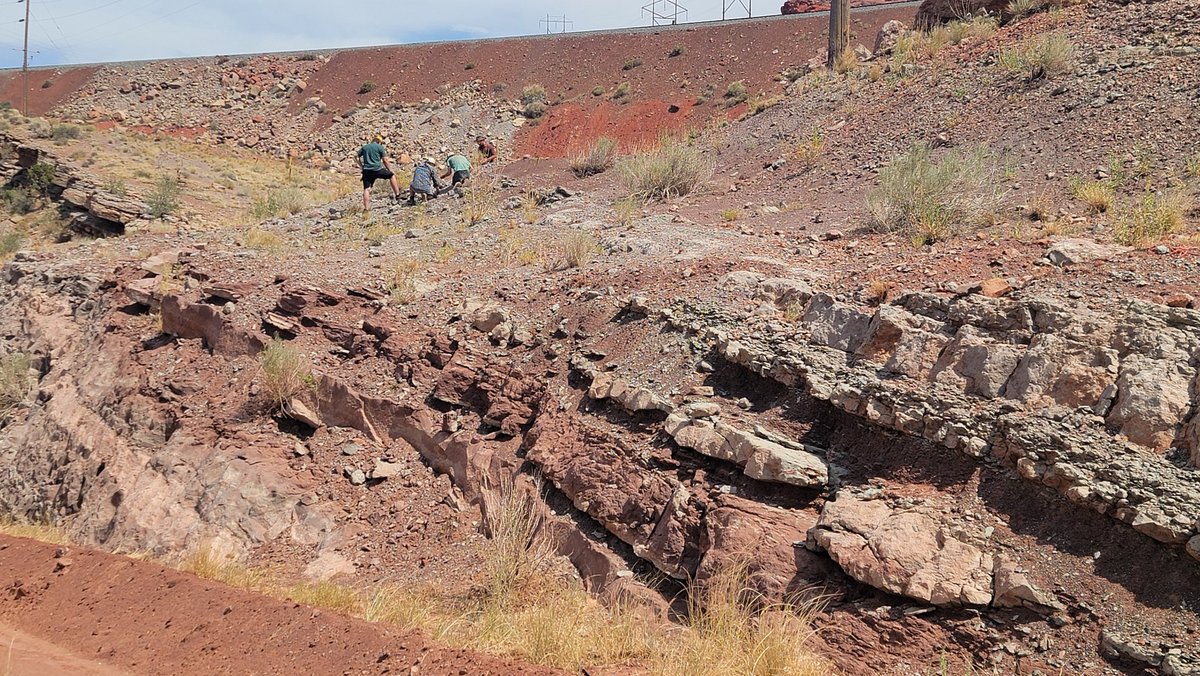 Paleojim's tweet image. This Latest Carboniferous (Pennsylvanian) Hermosa Fm. section is a beautiful fossiliferous regressive sequence that is surprisingly unstudied. More interpreted sites in Utah, but surprisingly, few tourists in Moab on a holiday weekend.