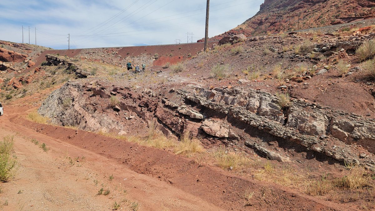 Paleojim's tweet image. This Latest Carboniferous (Pennsylvanian) Hermosa Fm. section is a beautiful fossiliferous regressive sequence that is surprisingly unstudied. More interpreted sites in Utah, but surprisingly, few tourists in Moab on a holiday weekend.
