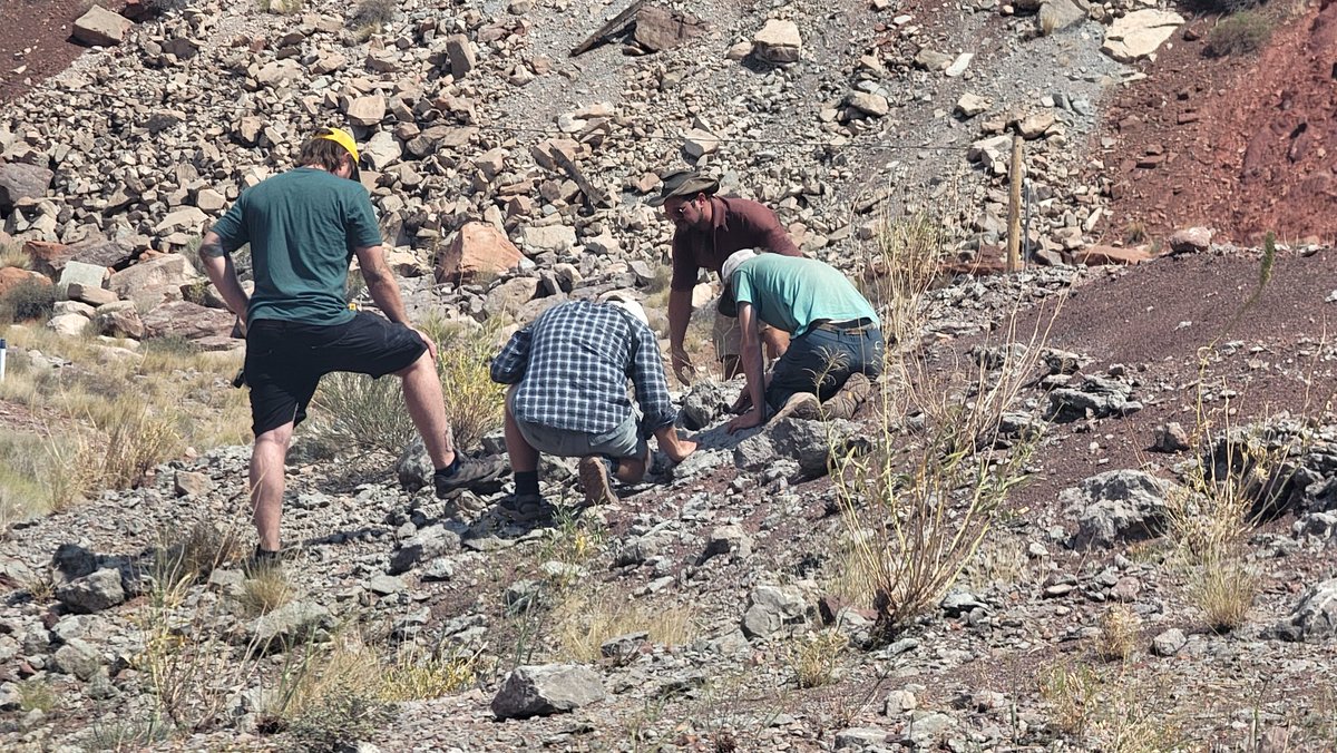 Paleojim's tweet image. This Latest Carboniferous (Pennsylvanian) Hermosa Fm. section is a beautiful fossiliferous regressive sequence that is surprisingly unstudied. More interpreted sites in Utah, but surprisingly, few tourists in Moab on a holiday weekend.
