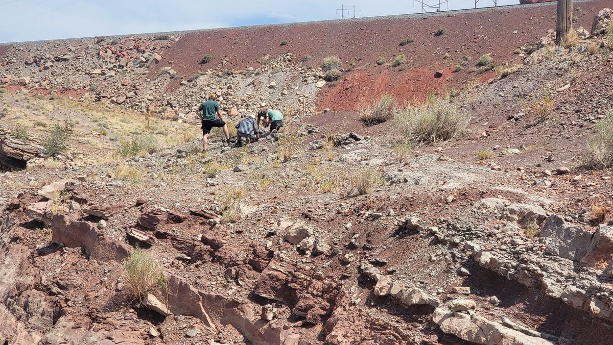 Paleojim's tweet image. This Latest Carboniferous (Pennsylvanian) Hermosa Fm. section is a beautiful fossiliferous regressive sequence that is surprisingly unstudied. More interpreted sites in Utah, but surprisingly, few tourists in Moab on a holiday weekend.