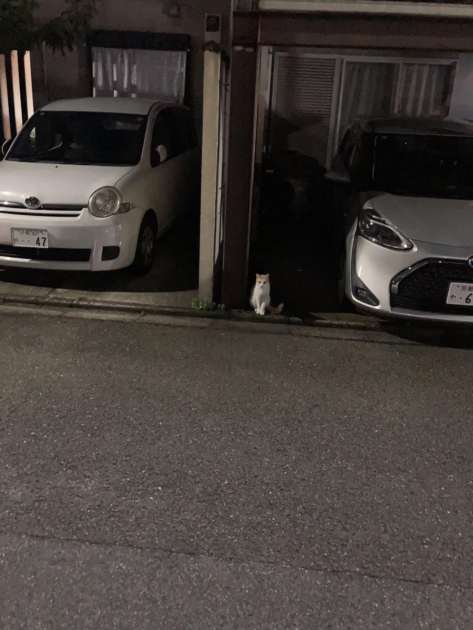 りりりんページ✮ りりりんりんさん𓆝𓆟𓆜𓆞𓆝𓆟𓆜𓆞𓃠 on X: 