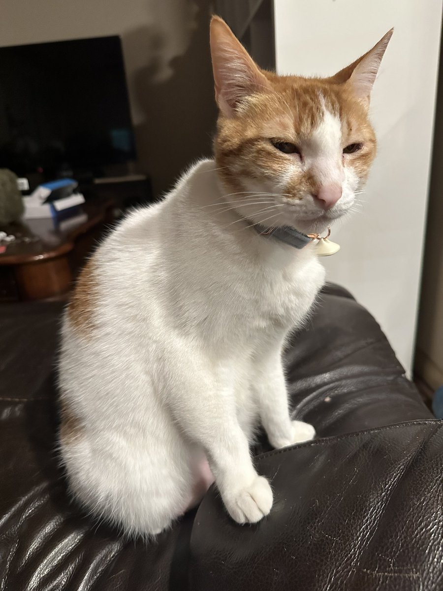 Why is bro stink eye’ing me???