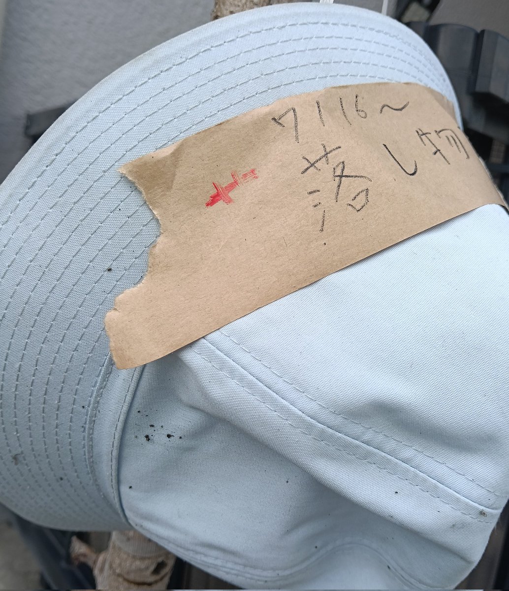 hachi_427's tweet image. 京都市内にて
お子様の通学帽子　落とし物で発見しました
小学校の名前も入っております

失礼ながらガムテにて落とし物と書き貼りました。
木の枝にかけてあります
※名前が書いてあるので
内側は撮ってません

#落とし物
#帽子
#小学校
#探し物
#京都