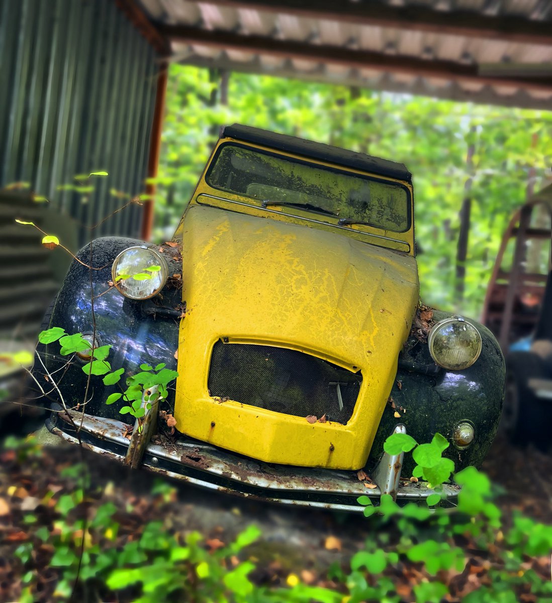 Parking...

🤍
.
.
.