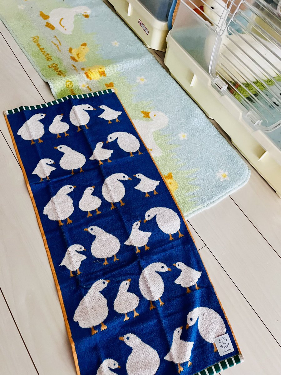 ahiraa2go's tweet image. やほー帰宅