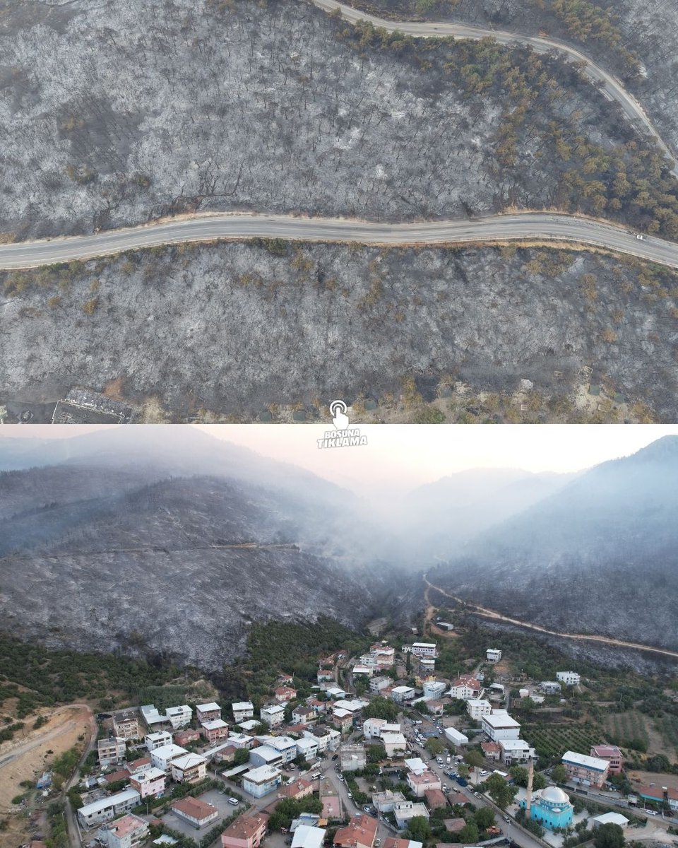 Bursa'daki orman yangınından geriye kalanlar...