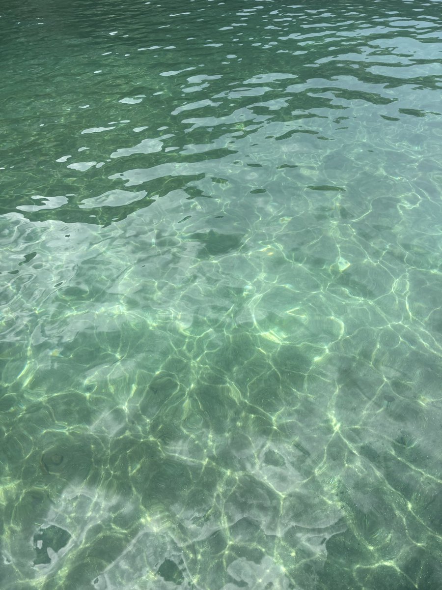 chowtato's tweet image. good day to be on the water @SuiNetwork