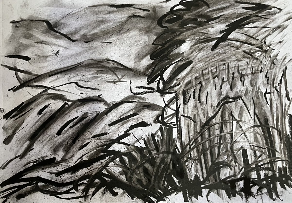 DaveGreen1963's tweet image. Breezy Borders. Charcoal on cartridge paper.