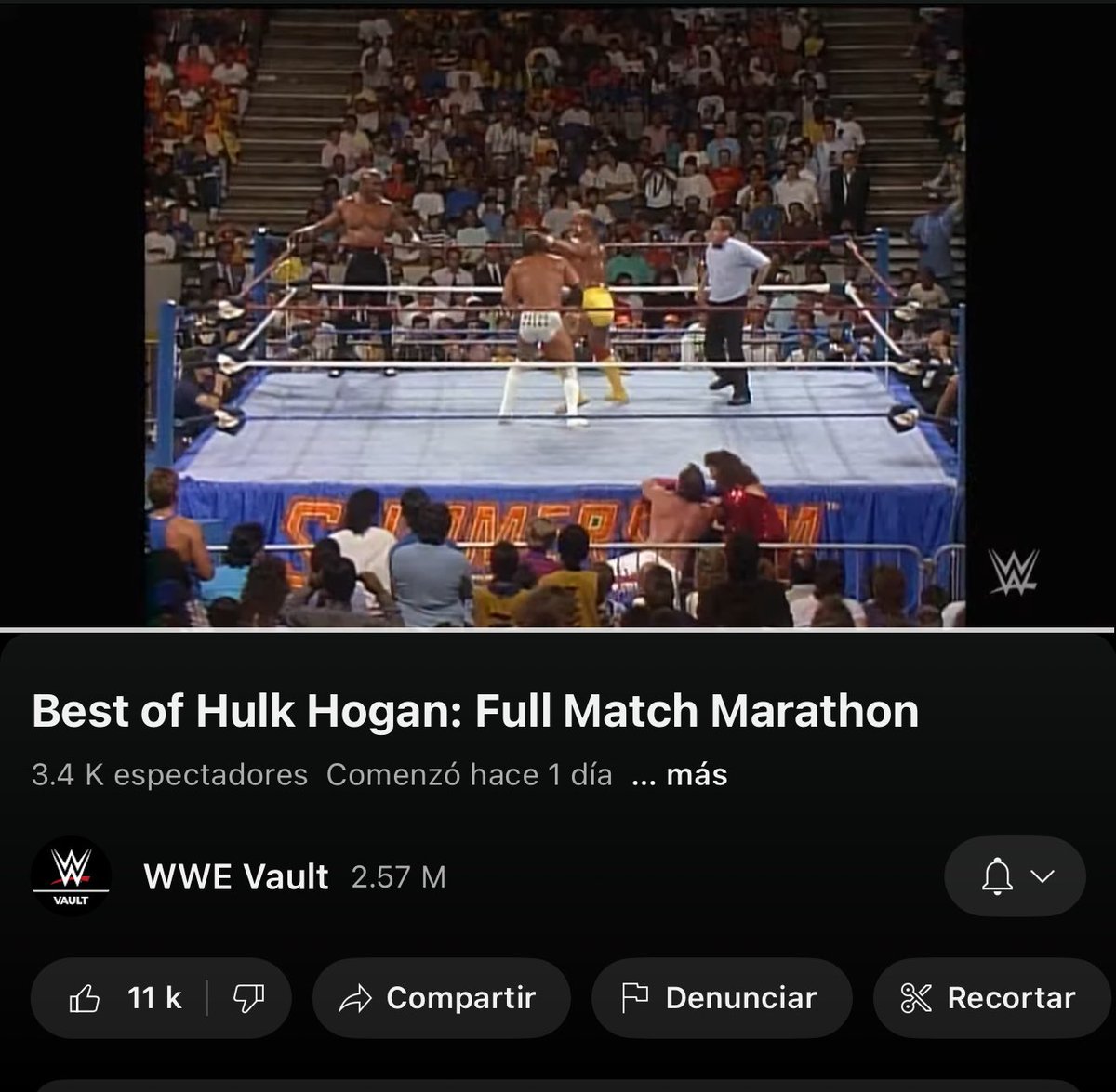 petarostojic's tweet image. If you were a kid in the 80s and loved Pro Wrestling, the @WWE Vault YouTube channel is your dream come true