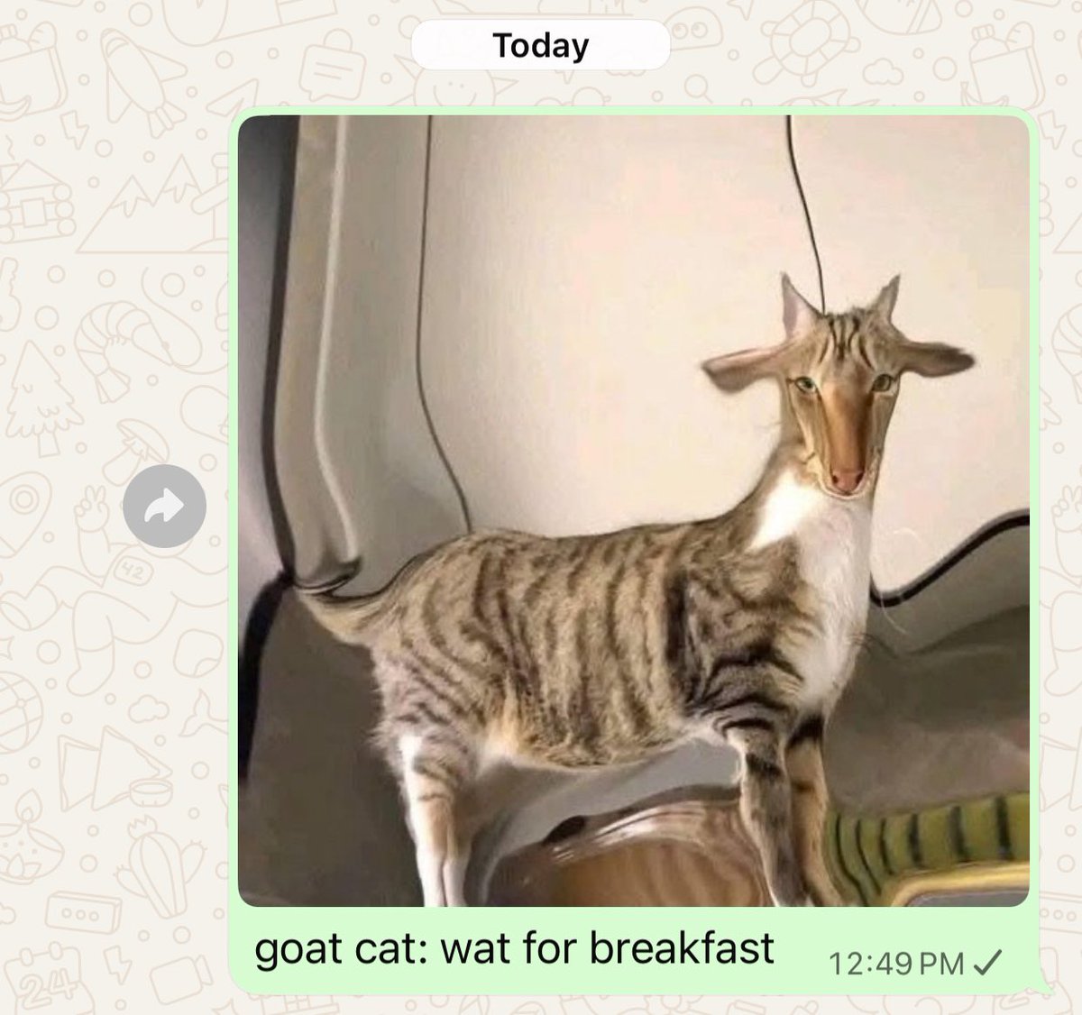 nnafioso's tweet image. do u guys think my mom will reply