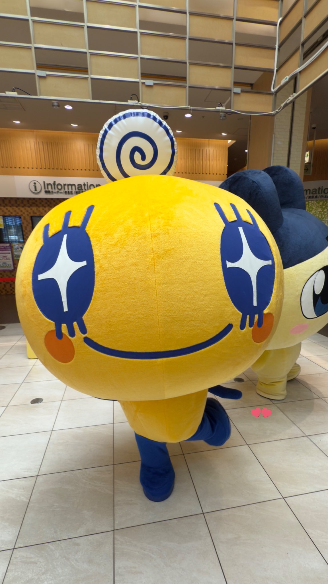 まめっち まめっち - Wikipedia