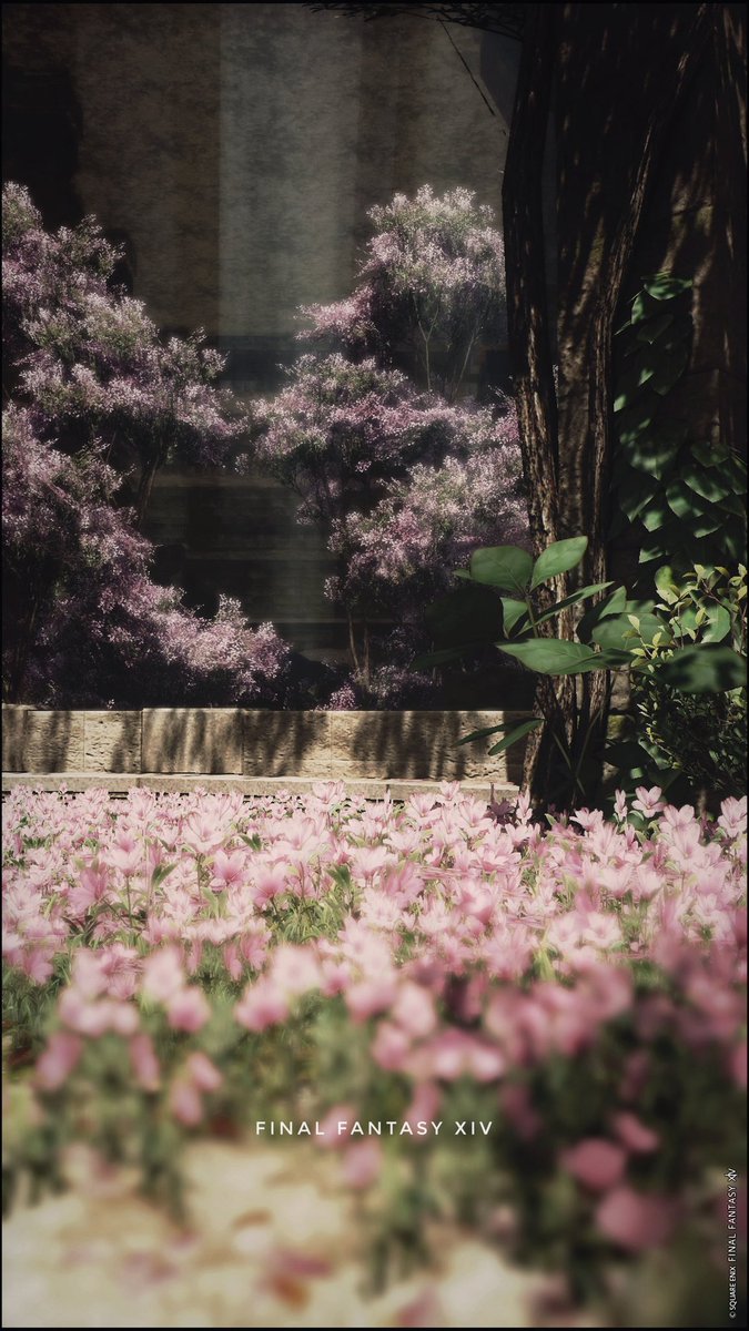 NtatuA's tweet image. FF14。シラディハ水道、左ルート。縦撮り。 #FF14 #FF14風景 #ffxivsnaps