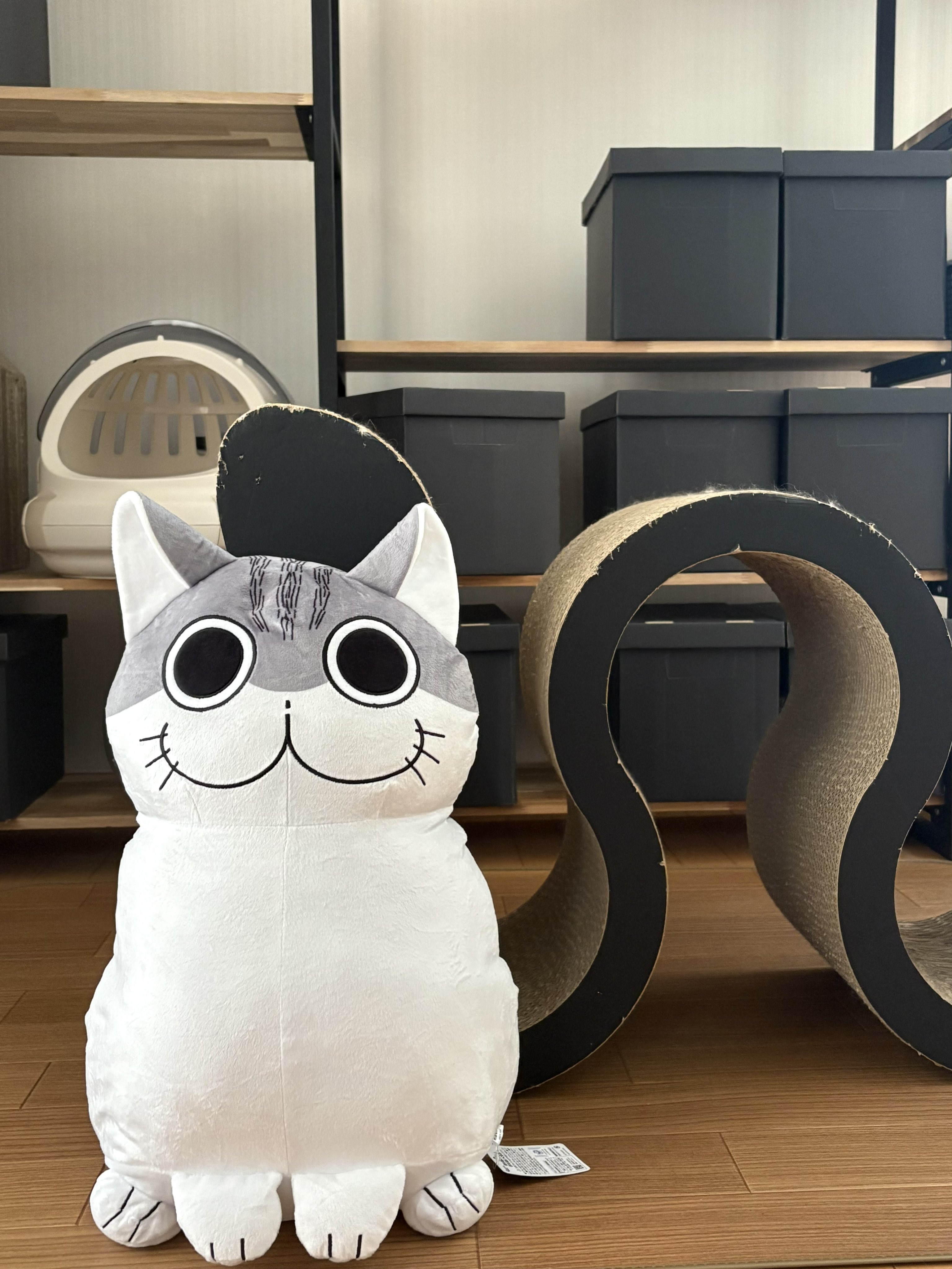 新品 希少 レア ねこぢる 猫の紬🐈サイベリアン on X: 