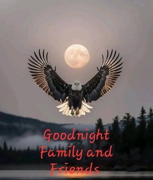 SPatriot61's tweet image. Sleep well Family ! Nothing but love ❤️