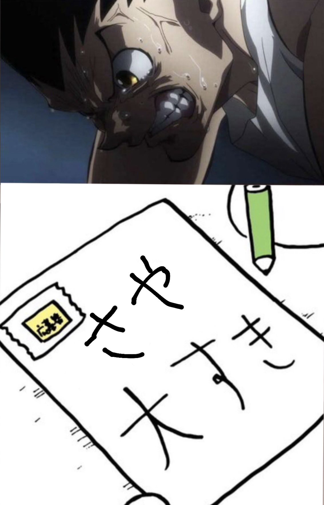 はくとん( 'ω')ŧ‹\