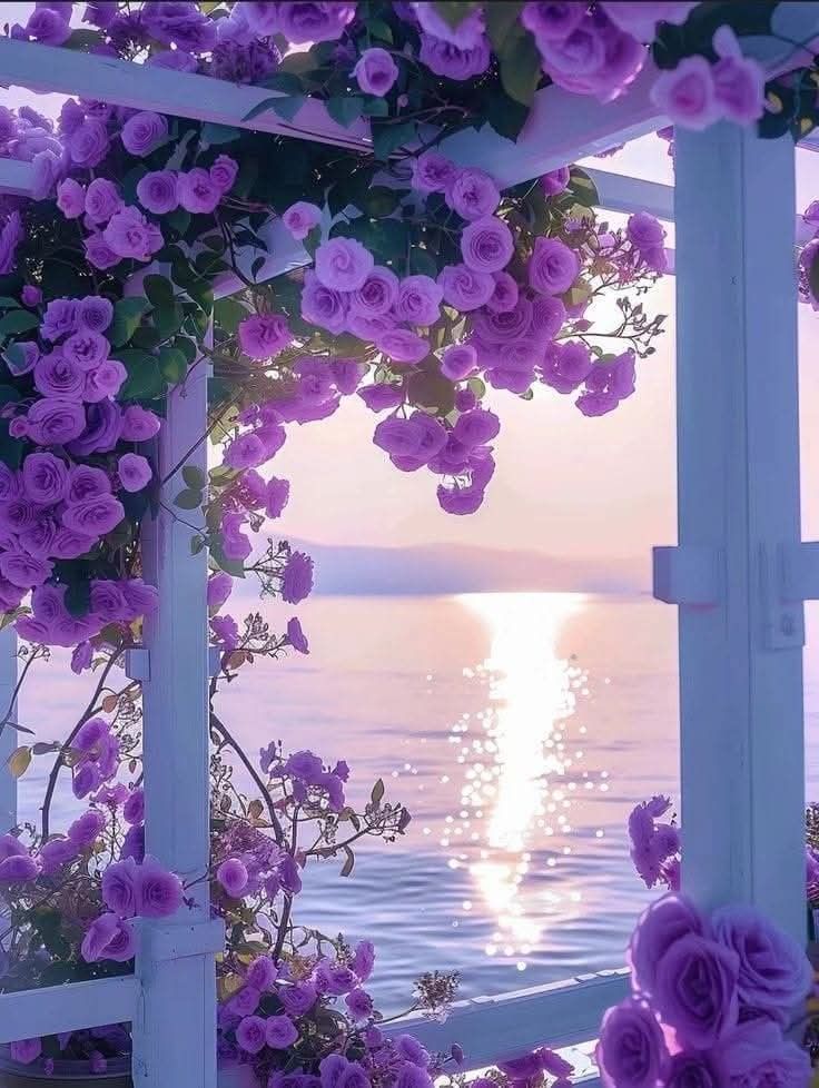 الحياة أفضل عندما لا يعرف أحد عنك أي شيء🫟🪻