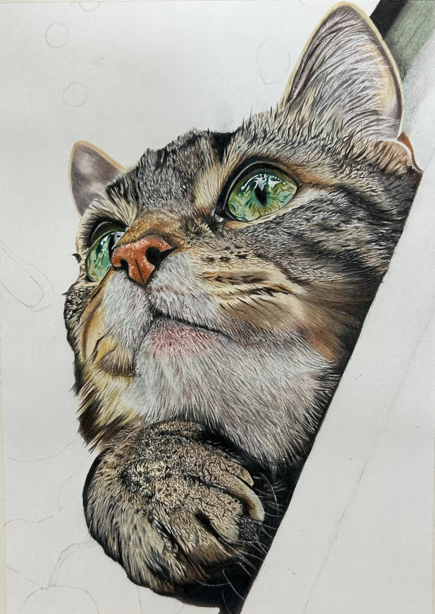 色鉛筆画 色鉛筆画 - Search / X